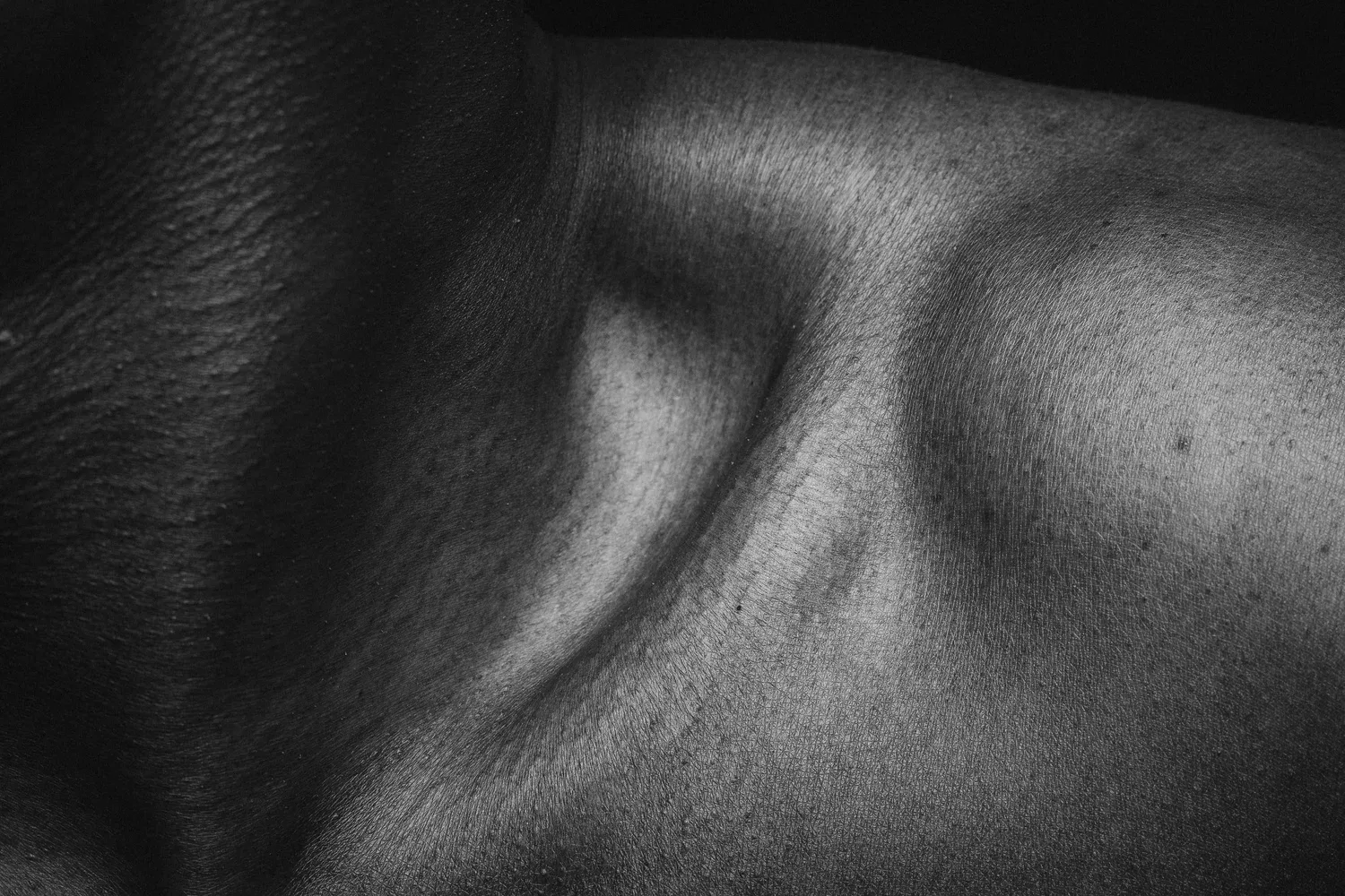 Black-and-white close-up of skin at the curve of a shoulder