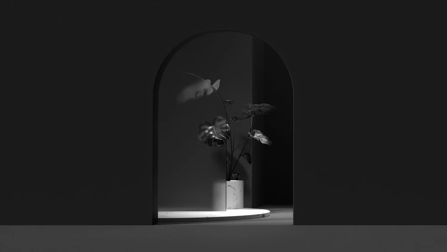 Small plant in an arched niche in a dark, minimal room