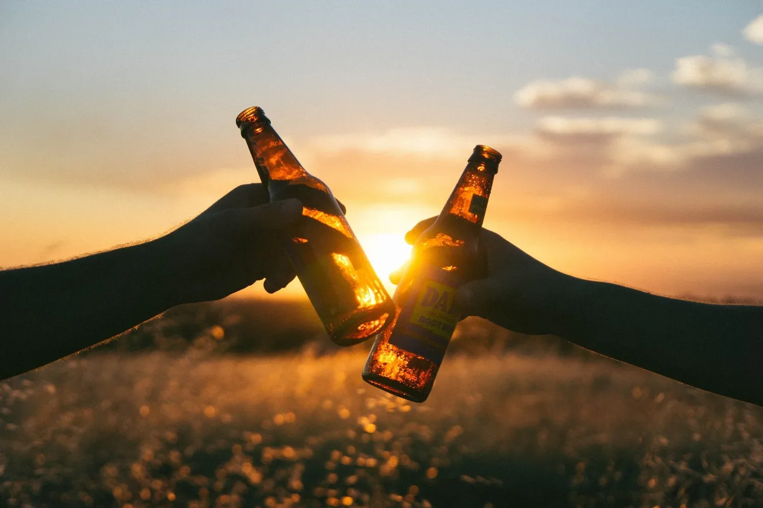 Two hands clinking bottles together against a sunset