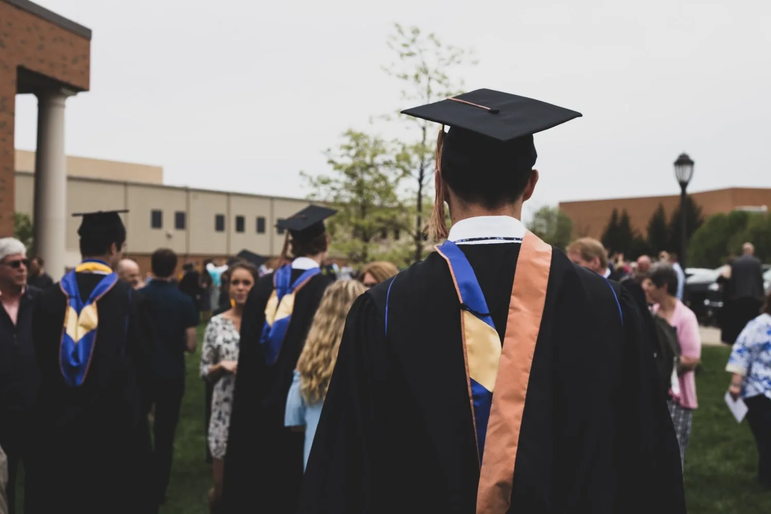 Graduates in caps and gowns seen from behind at a ceremony