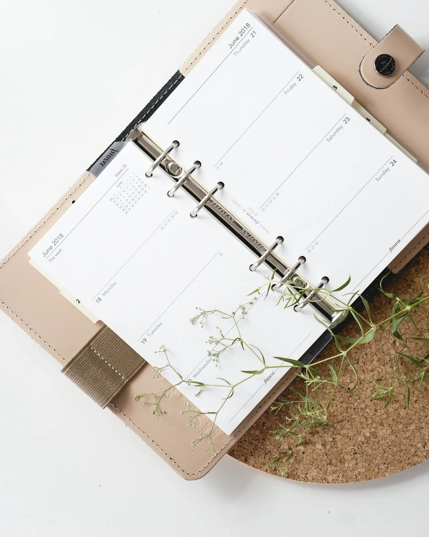 Open planner and small plant on a white surface