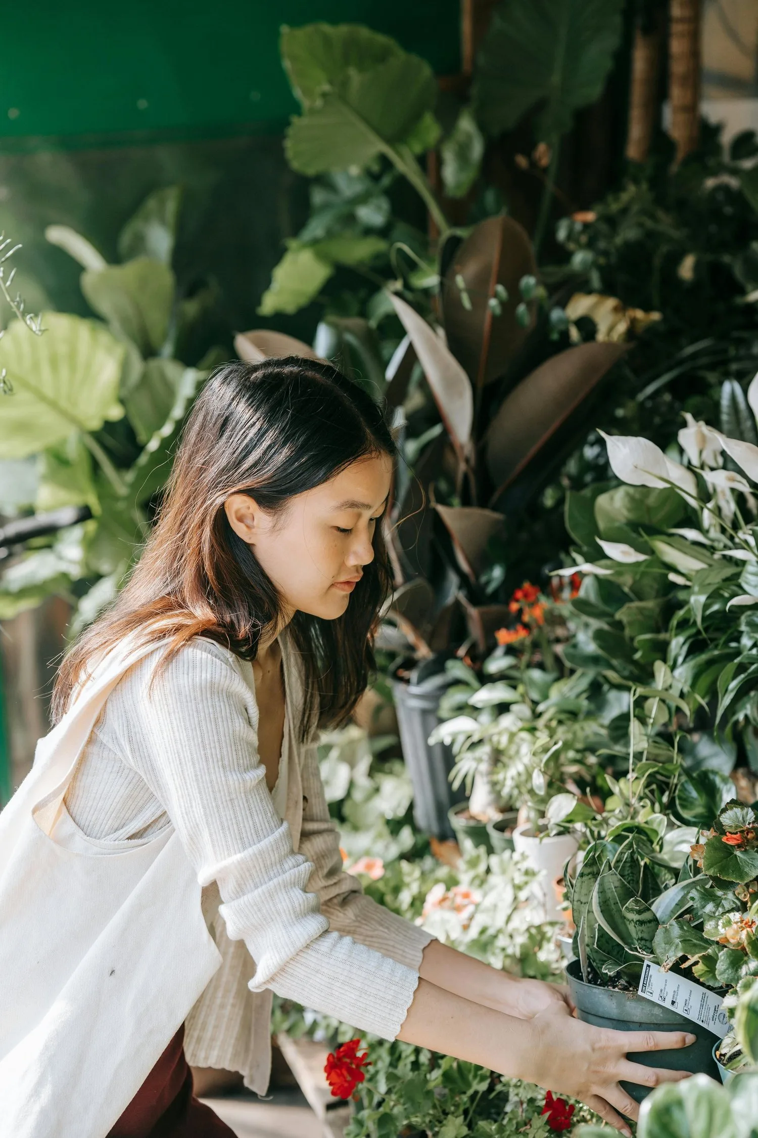 Woman tending to plants in a lush indoor garden
