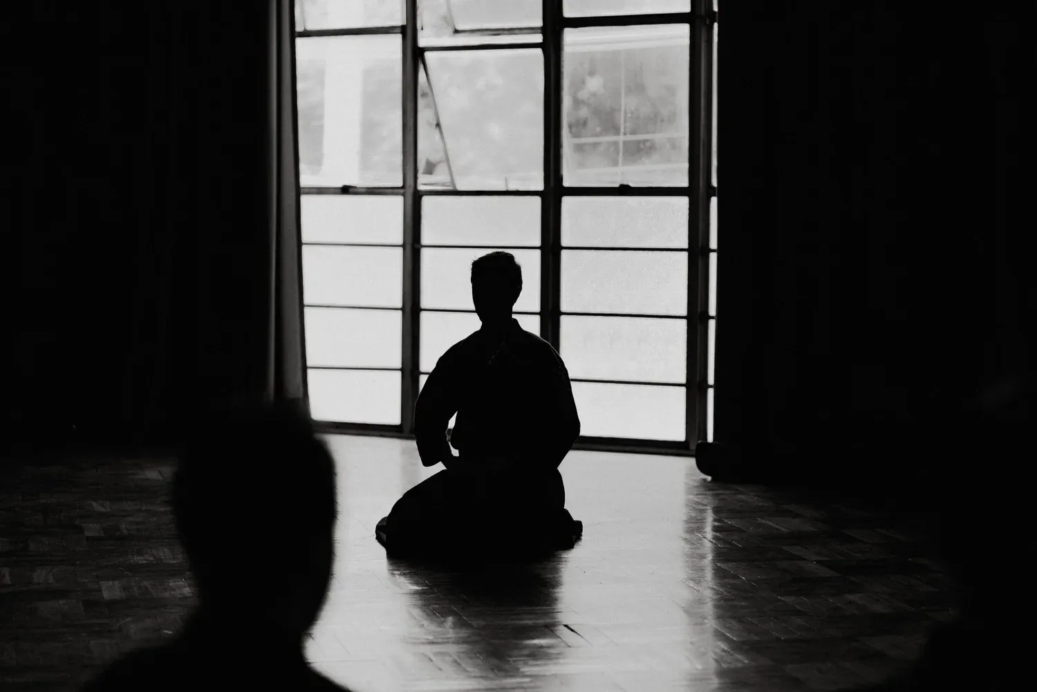 Black-and-white silhouette of a person kneeling in front of tall windows