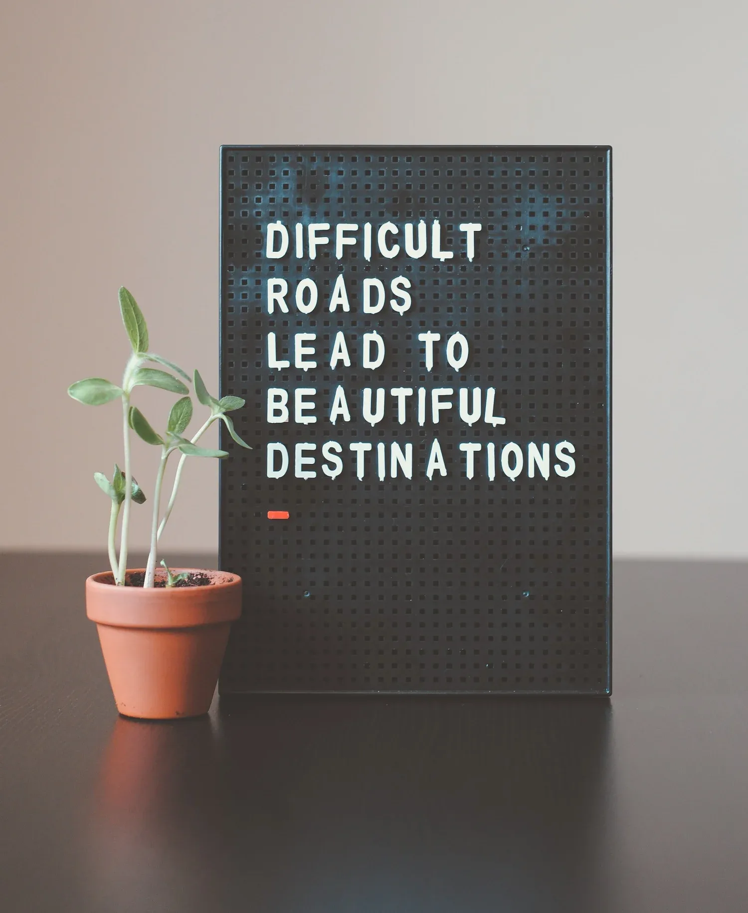Letter board reading DIFFICULT ROADS LEAD TO BEAUTIFUL DESTINATIONS beside a small plant
