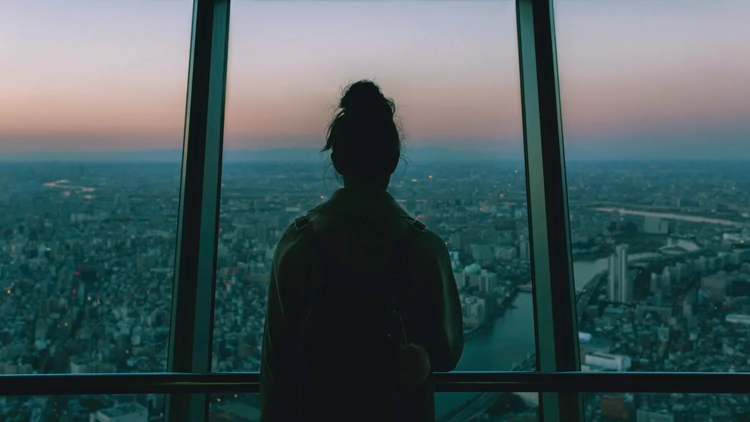 Silhouette of a person looking out over a city from a high window at dusk