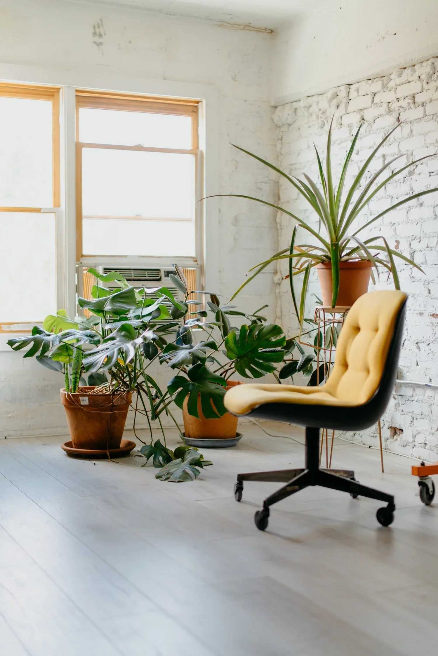 Bright room with plants and a yellow chair by a large window