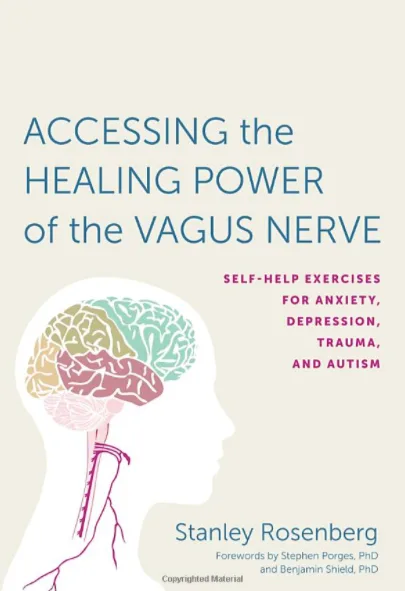Cover of Accessing the Healing Power of the Vagus Nerve by Stanley Rosenberg