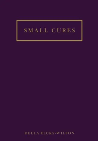 Cover of Small Cures By Della Hicks-Wilson